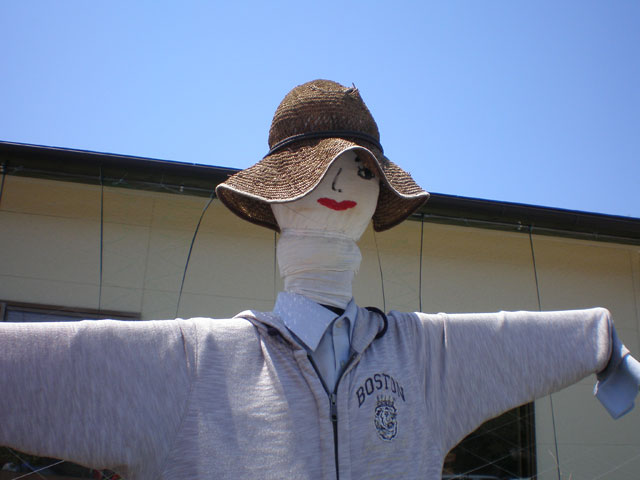 農家レストラン 七菜 農家レストラン 七菜