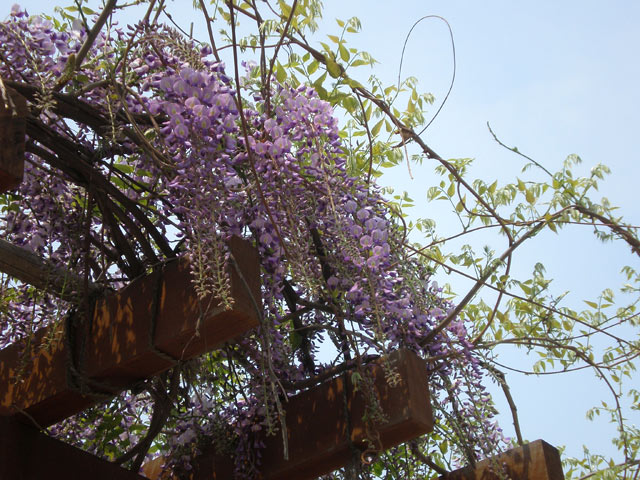 かごしま環境未来館