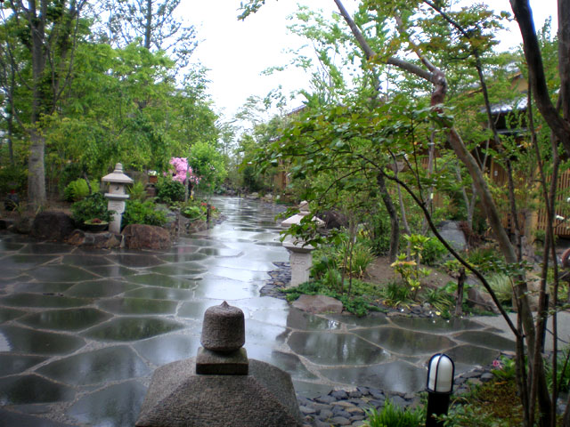 110503_10 雨でしっとりとした雰囲気のお庭