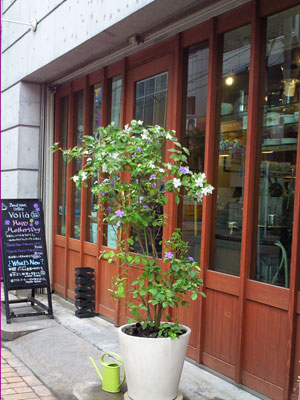 Boutique Coffee VOILA 鹿児島店 Boutique Coffee VOILA 鹿児島店