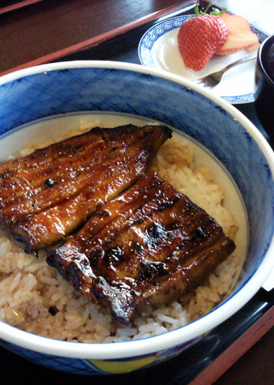 やまげんのうなぎ