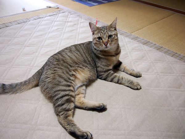 ちっくんしたよ