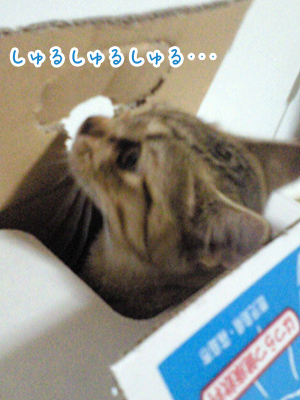 勝手に戻っていきます