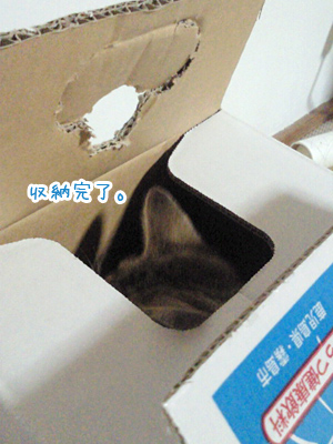 次の獲物を狙います