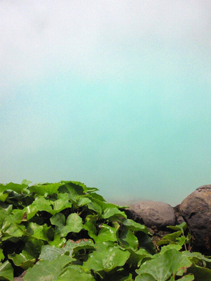 地獄めぐり 地獄めぐり