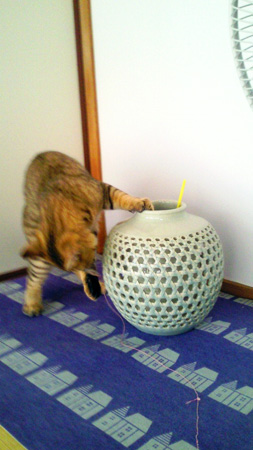 ネズミとれた！