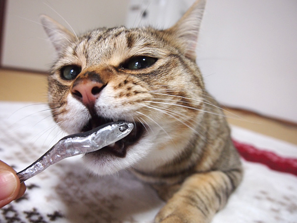 喉元をガブリ！