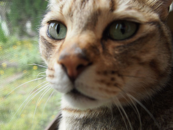 何撮ってるんじゃあ！