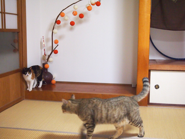 最初はいじめられるかと思ったけれど