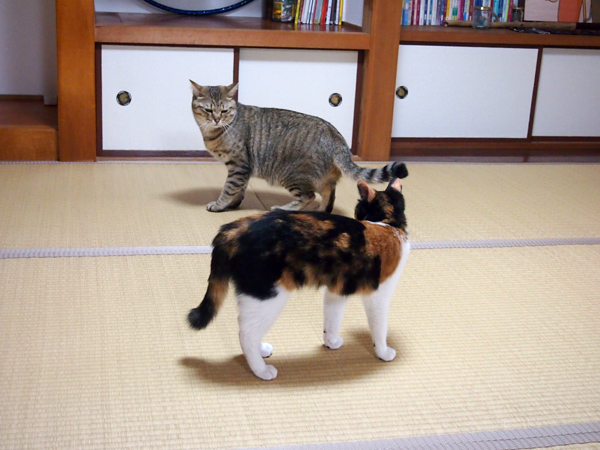 適度な距離を保ちつつ