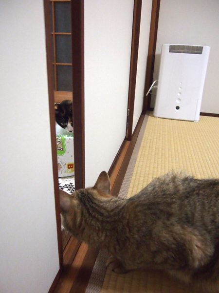 アタシの部屋になんか用!?