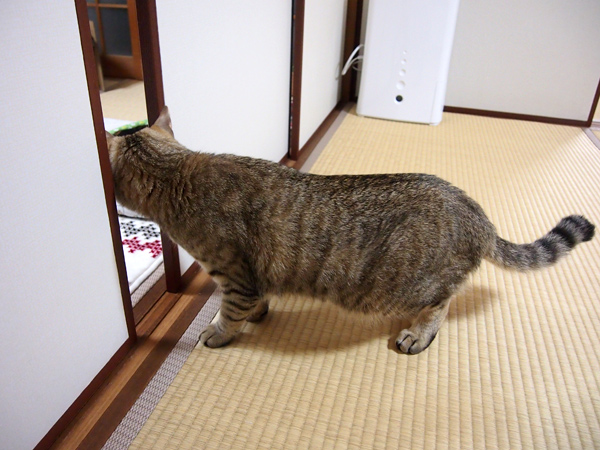 そろーり そろーり