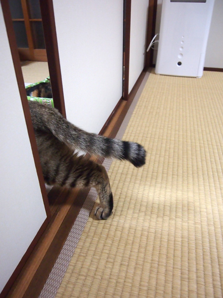 へっぴり腰で しつれいしまーす