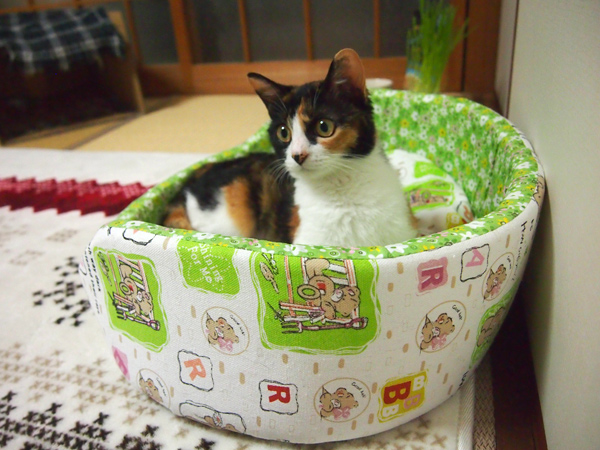 ちょ!それはあんこのトイレ!ヤメテ!