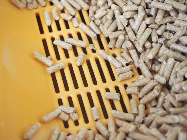 子ネコ用だからかザルの目は細かい。