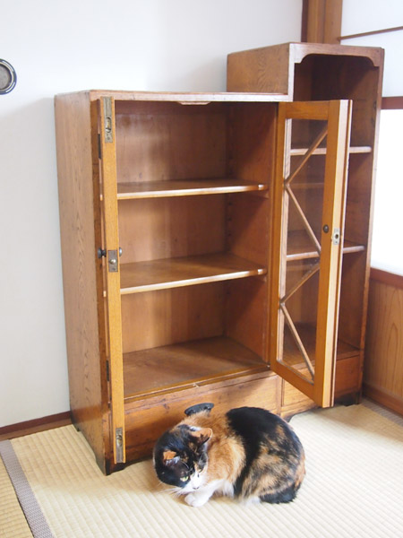 レトロ棚とあんこちゃん。