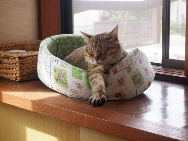 体の向きはちーさん方向。