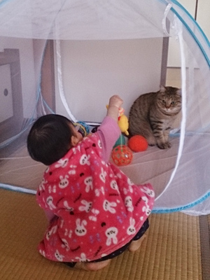 遊び相手にされる図