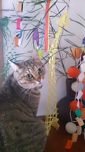 呼んだ？え？食べちゃだめ？