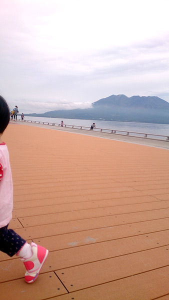 桜島バックに・・・と思ったのに。