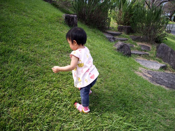 道なき道を進むのよ。