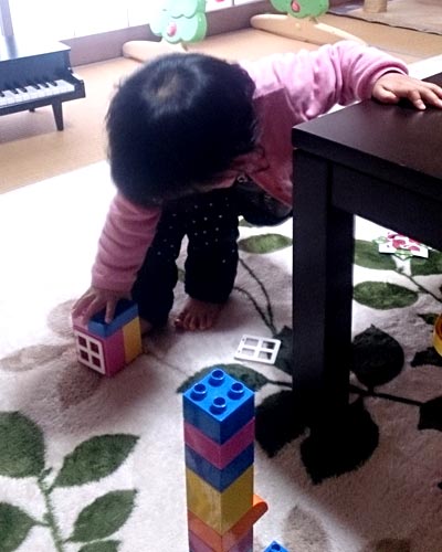 レゴで作った家に入ろうとしているようだ。