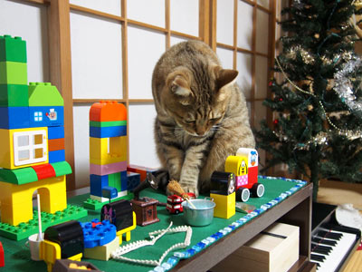 プレイスペースは緑のフェルトに重しがわりのタイル。