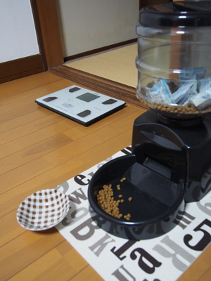 ごはんが出ていますよ