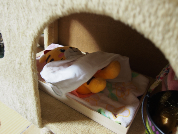 快適そうなお住まいで。