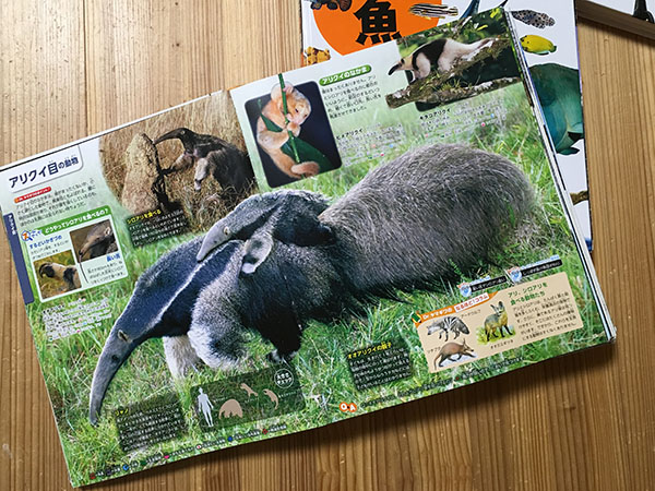 講談社の動く図鑑MOVEシリーズ