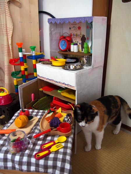 女の子はおままごと好きねぇ。