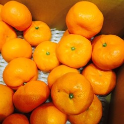 あっという間になくなります