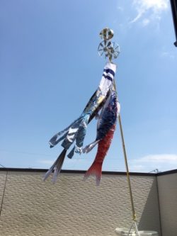 あたりまえの毎日。かけがえのない毎日。